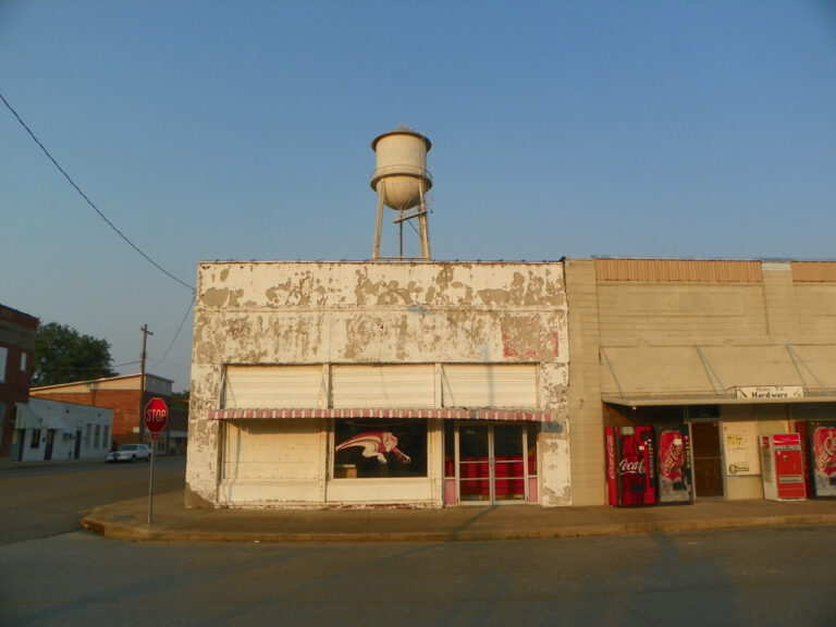 Second Street, Earle, AR, June 2011 Kudzu Republic